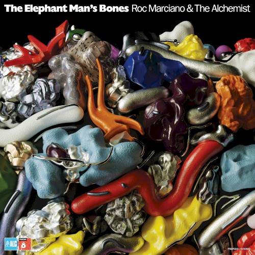 The Elephant Man’s Bones