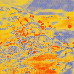 Dragonflies With Birds and Snake