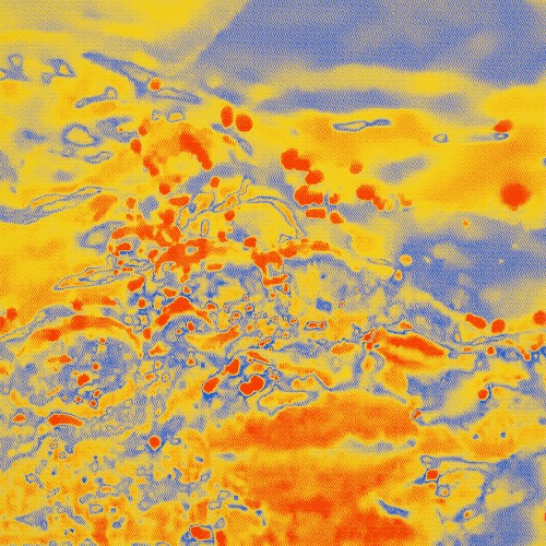 Dragonflies With Birds and Snake