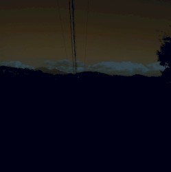 To Magnetize Money and Catch a Roving Eye