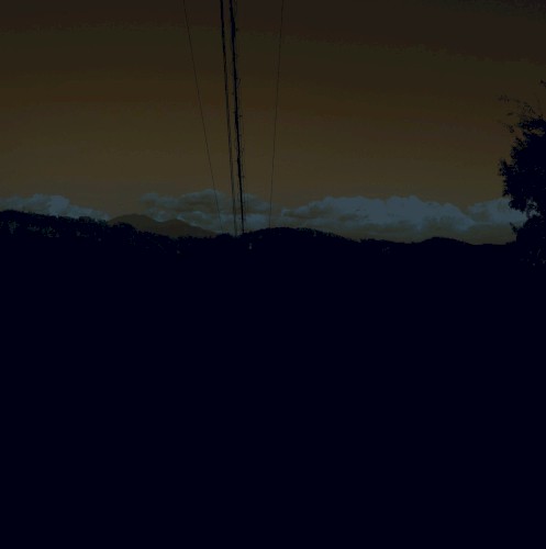 To Magnetize Money and Catch a Roving Eye