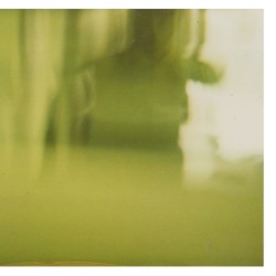 evergreen / faraway