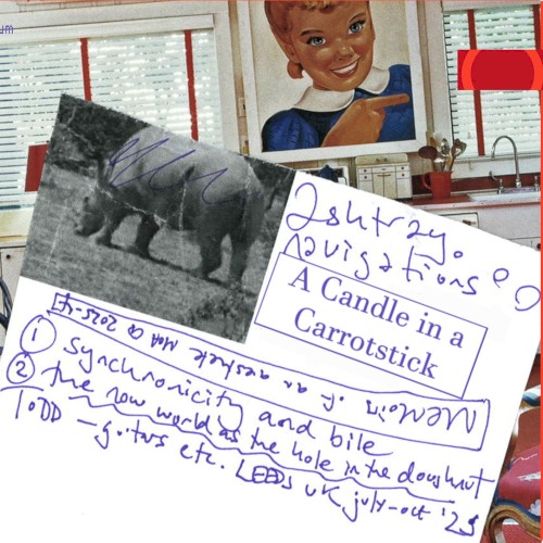 A Candle in a Carrotstick