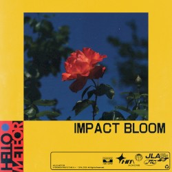 Impact Bloom