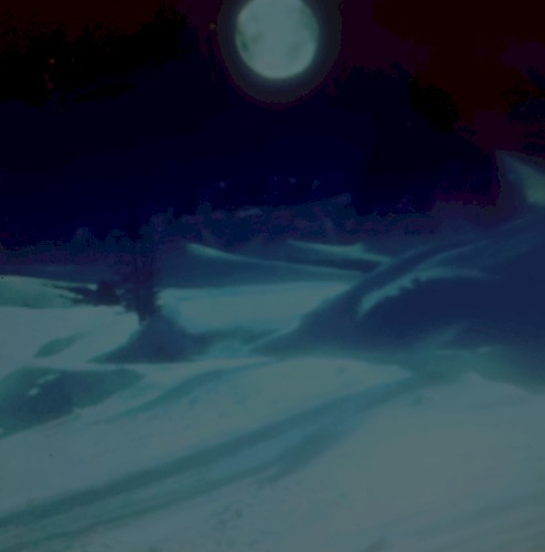 Nocturnal Dementia