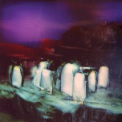 Shoulder to Shoulder