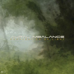 Propagation Of Light