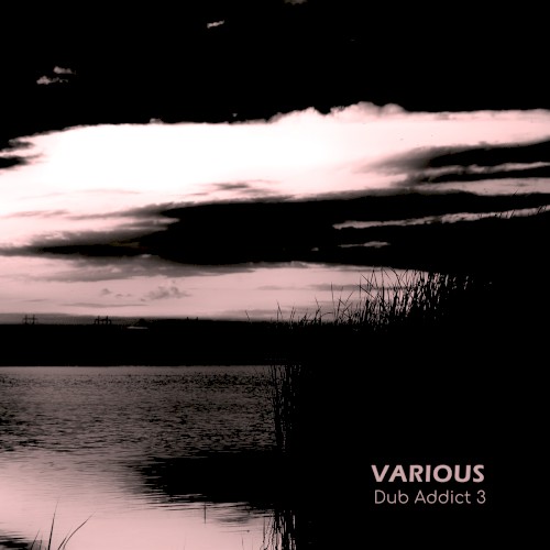 Dub Addict Vol.3