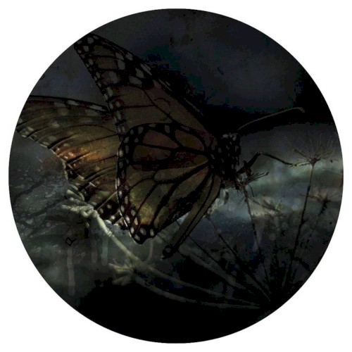 Arkada #002