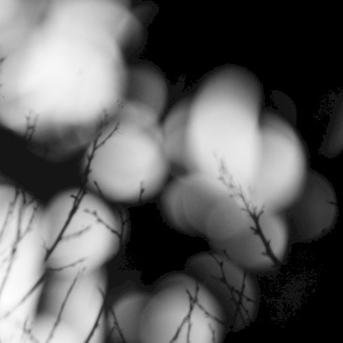 Silentium