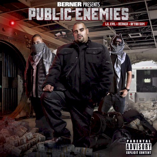 Public Enemies