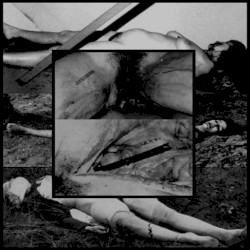 I Have Such Sights To Show You