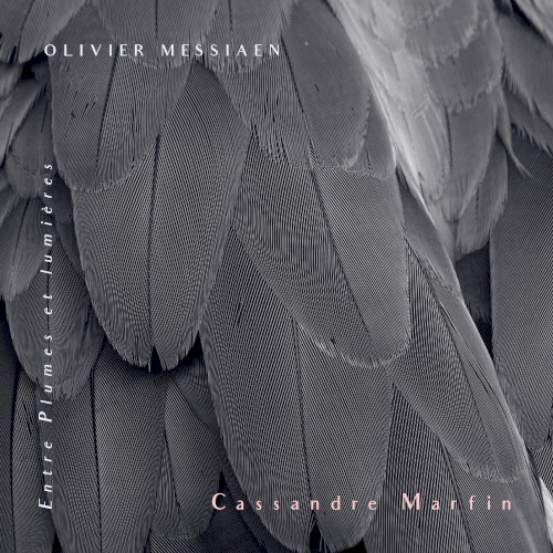 Entre plumes et lumières