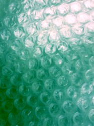 Blood on the Cat’s Neck