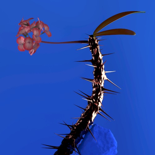 Skin Companion EP II