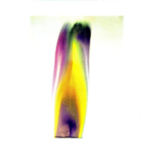 Chry‐ptus