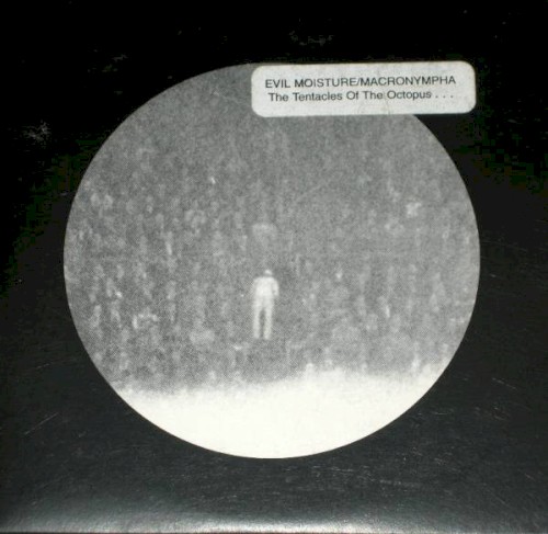 The Tentacles of the Octopus Sometimes Compete Against Each Other