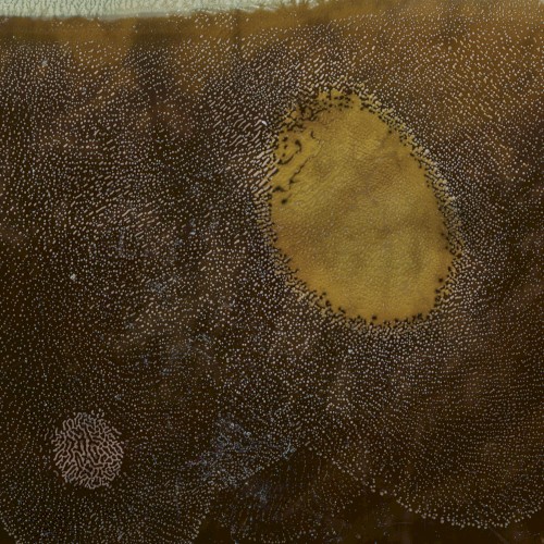 a floor, walls, and a ceiling