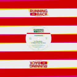 In the End (I Want You to Cry)