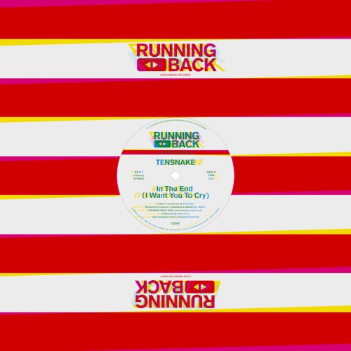 In the End (I Want You to Cry)