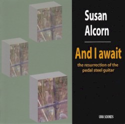 And I Await the Resurrection of the Pedal Steel Guitar