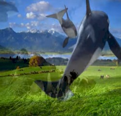 O r c a スカイバウンド