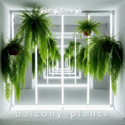 b a l c o n y _ p l a n t s