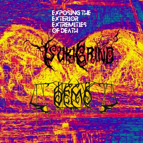 Exposing the Exterior Extremities of Death