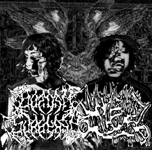 bottom surgery / VULGAR