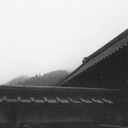 The Fire Will Die At Night