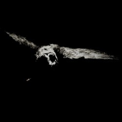 We Found Three Small Heads in Holes and a Coin Near Them