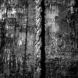 Now We Are a Ghost Ship