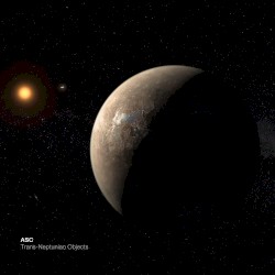 Trans‐Neptunian Objects