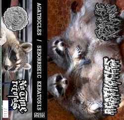 Agathocles / Seborrheic Keratosis Split