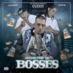 Definition of Bosses