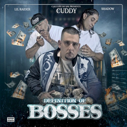 Definition of Bosses