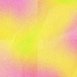 THE GRATITUDE PROJECT