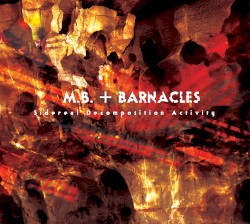 Sidereal Decomposition Activity