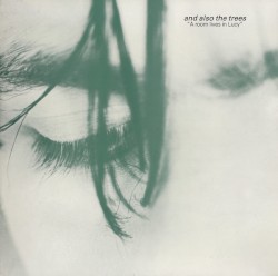 A Room Lives in Lucy