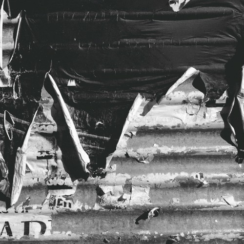 Buy Batteries and Shelter Pets