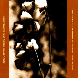 Wild Flowers Under the Sofa