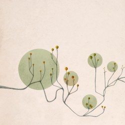 Los recuerdos dormidos