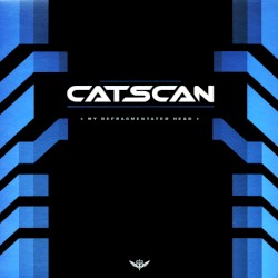 My Defragmentated Head