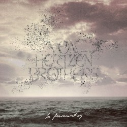In Murmuration