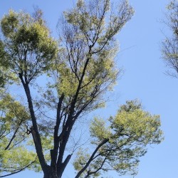 Come Through 2026.04