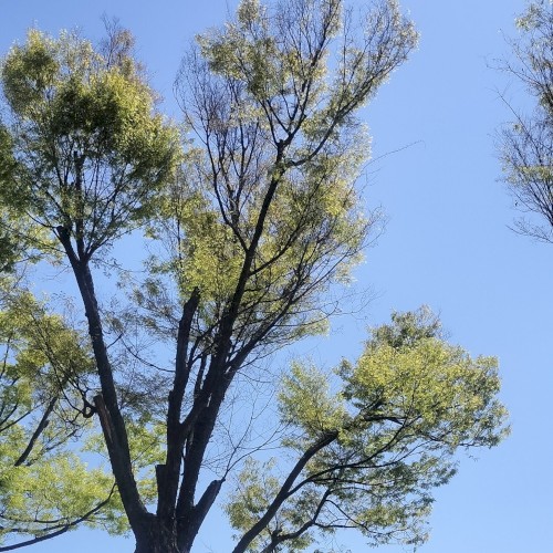 Come Through 2026.04