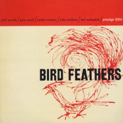 Bird Feathers