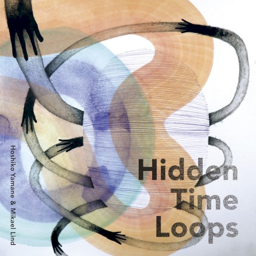 Hidden Time Loops