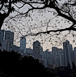 Fragments: Collected Sounds From Deserted Places