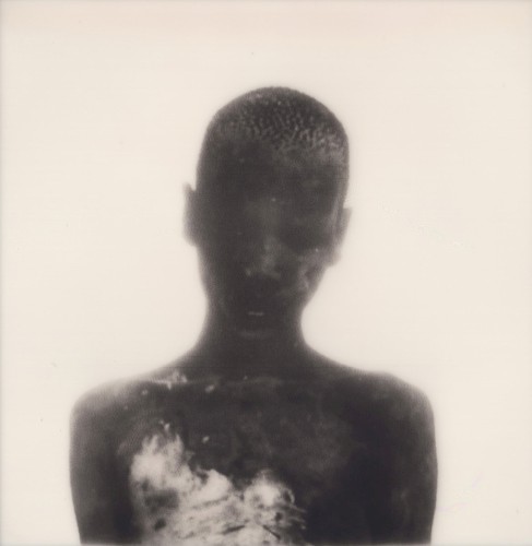 Summer Solstice Edition